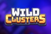 Wild Clusters